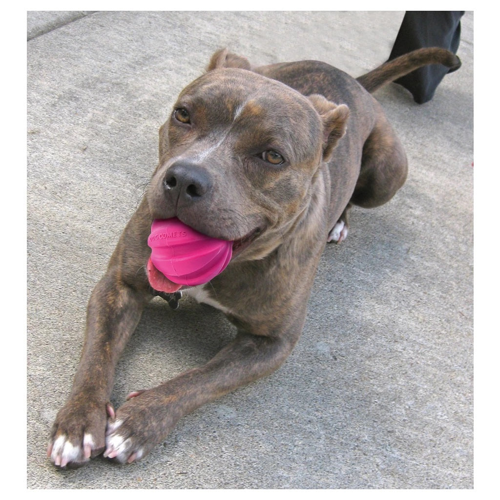 Dog Comets Meteorite Ball