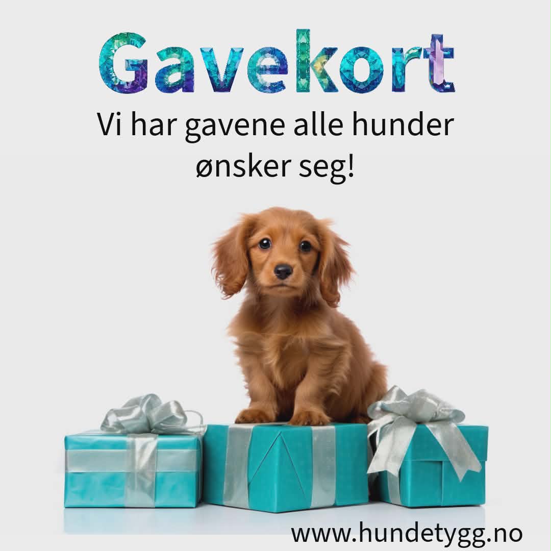 Gavekort
