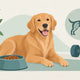 Beinkraft til hund - hvor mye er passe?