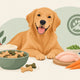 Guide til allergivennlige snacks for hund