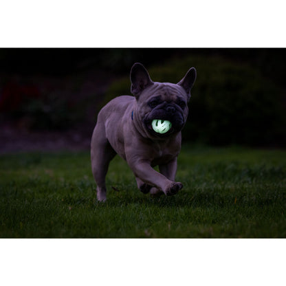 Chuckit! Max Glow Air Fetch Ball