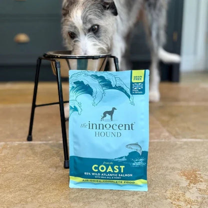 The Innocent Hound – Coast Salmon
