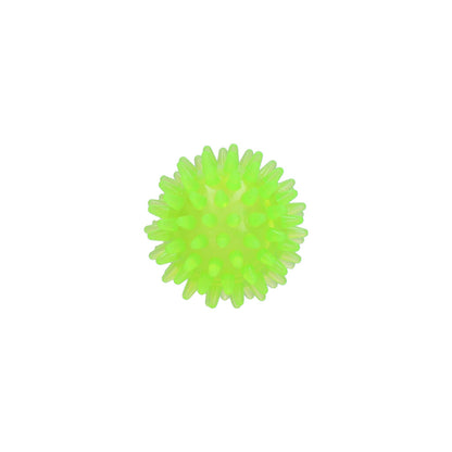 Dog Comets Exoplanet Piggball
