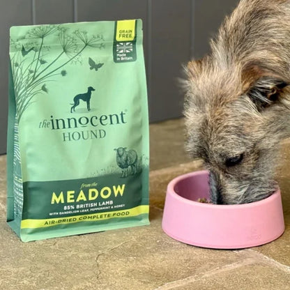 The Innocent Hound – Meadow Lamb