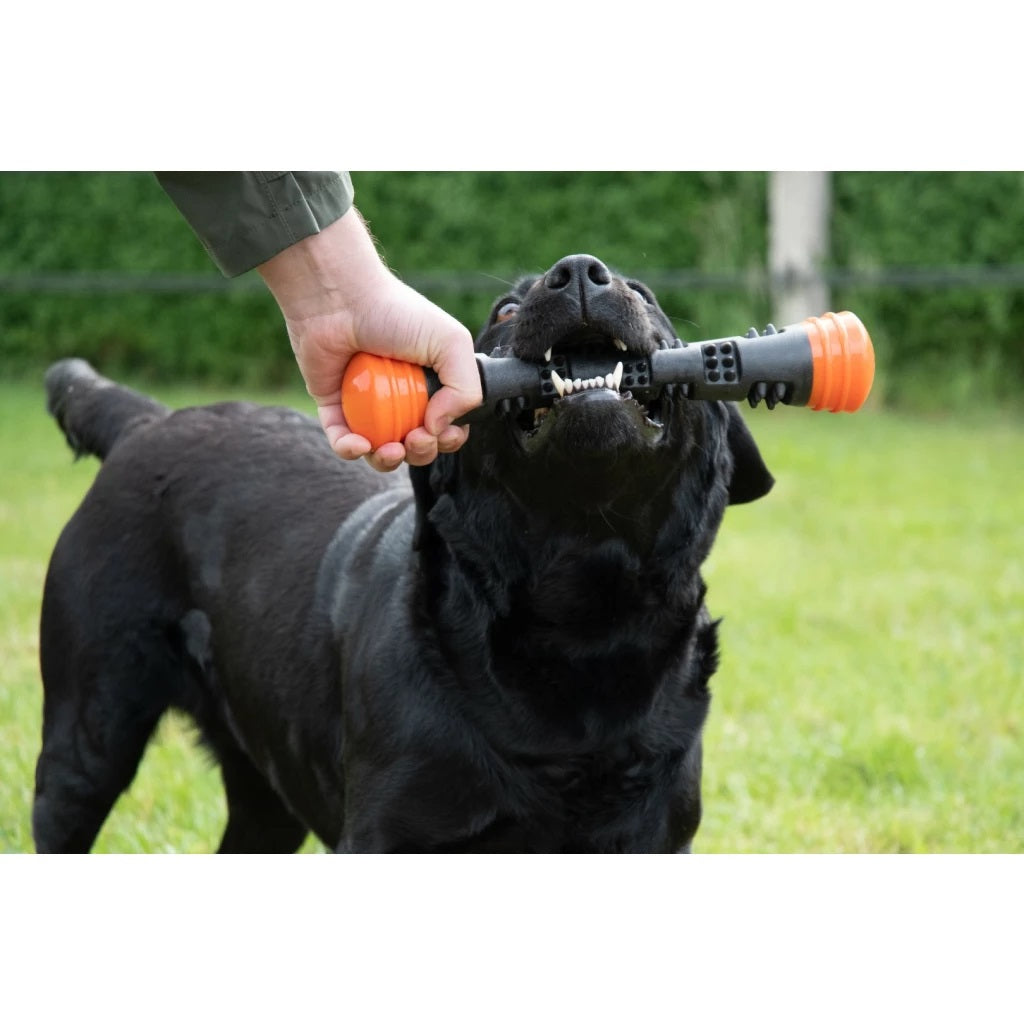 Dog Comets Meteor Kastepinne