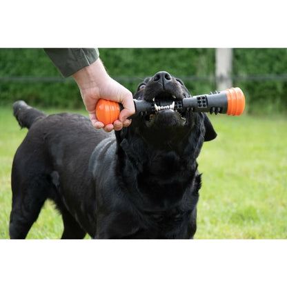 Dog Comets Meteor Kastepinne