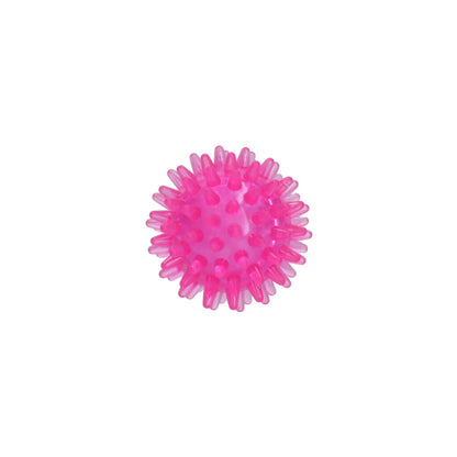 Dog Comets Exoplanet Piggball