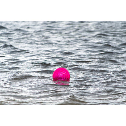 Dog Comets Exoplanet Piggball