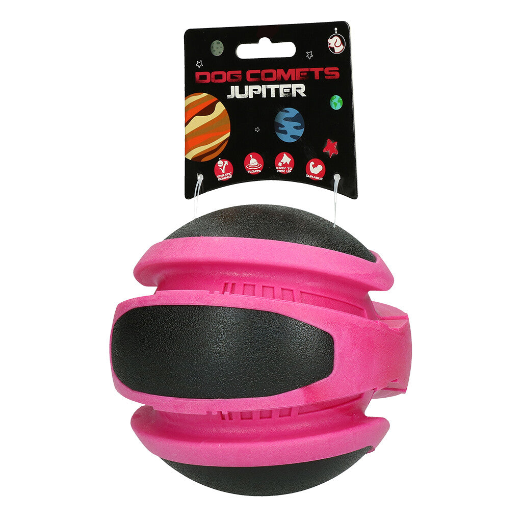 Dog Comets Planets 14cm