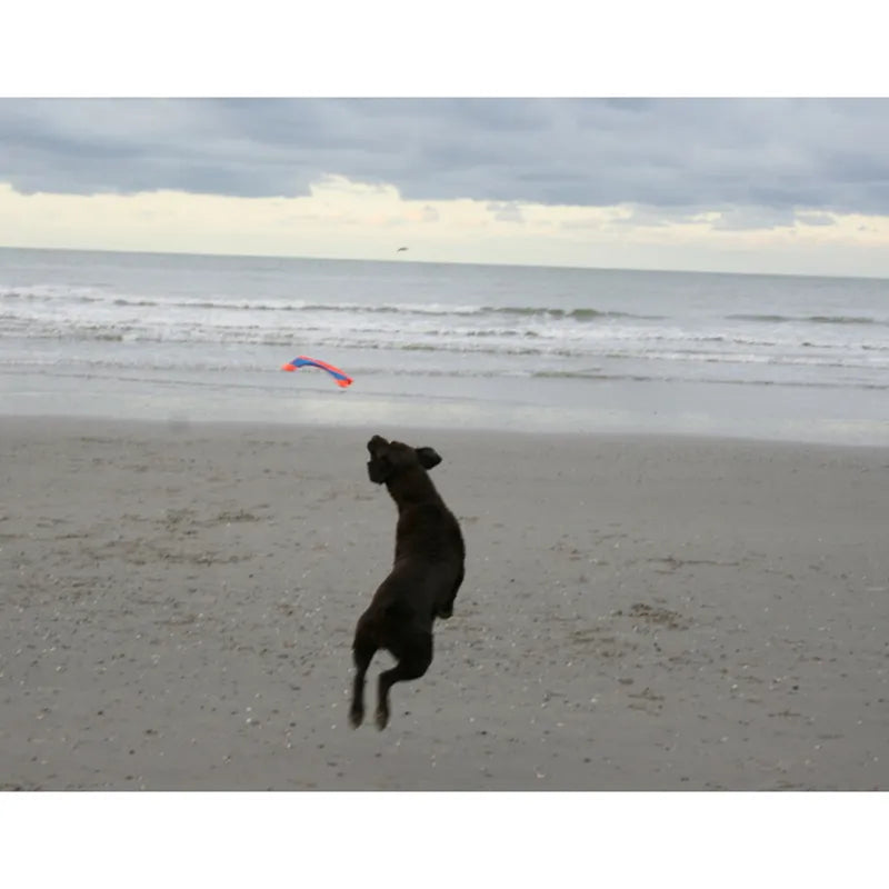 Chuckit! Flying Squirrel M 35cm