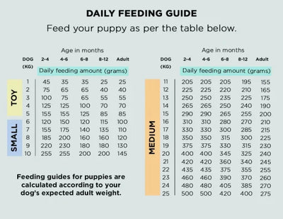 The Innocent Hound Wild Salmon Fishcakes