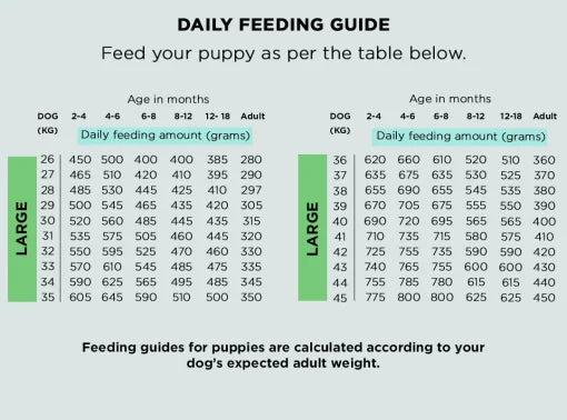 The Innocent Hound British Lamb Casserole